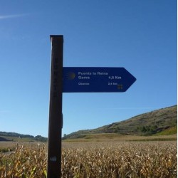 SAINT-JEAN-PIED-DE-PORT / LOGRONO