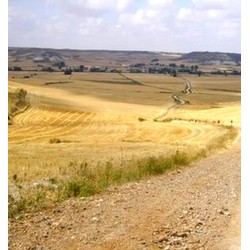 BURGOS / LEON