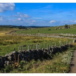 TOUR de l'AUBRAC 8J/7N