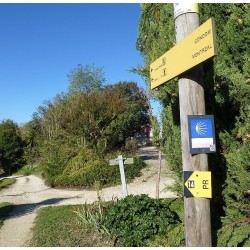 LECTOURE / AIRE-SUR-ADOUR