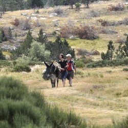 CHEMIN DE STEVENSON : PUY-EN-VELAY/ST-JEAN-DU-GARD