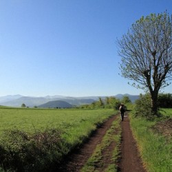 CHEMIN DE STEVENSON : PUY-EN-VELAY/CHASSERADES