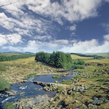 TOUR de l'AUBRAC 8J/7N