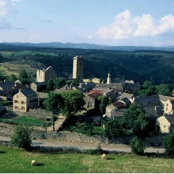 La Régordane 10 N