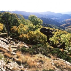 CHEMIN DE LA REGORDANE