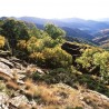 CHEMIN DE LA REGORDANE