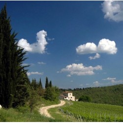 ITALIE - TOSCANE