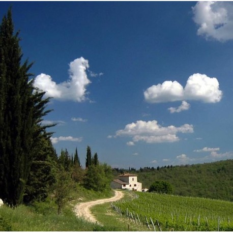 ITALIE - TOSCANE ITALIE - TOSCANE