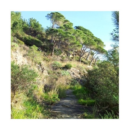 Aoste - Viverone 6J/5N