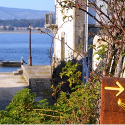 le Chemin Portugais par la côte 15J/14N