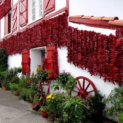 St Jean Pied de Port - Irun - la Transversale 6J / 5N