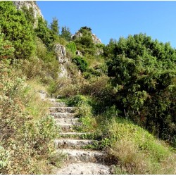 Côte d'Azur 6J/5N