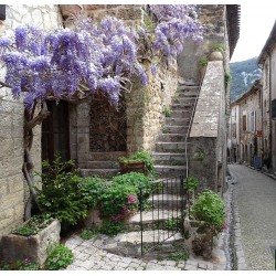 ARLES / LODÈVE