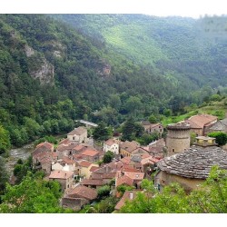 Les Gorges du Tarn 7J/6N