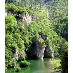 Les Gorges du Tarn 7J/6N