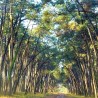 LA-RÉOLE / MONT-DE-MARSAN