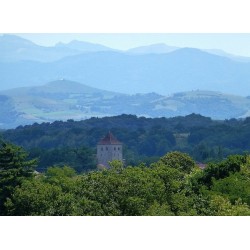 MONT-DE-MARSAN / SAINT-JEAN-PIED-DE-PORT