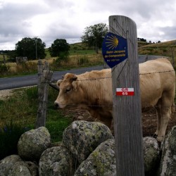 AUMONT-AUBRAC / CONQUES