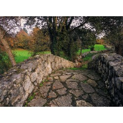 RIBADESELLA : OVIEDO