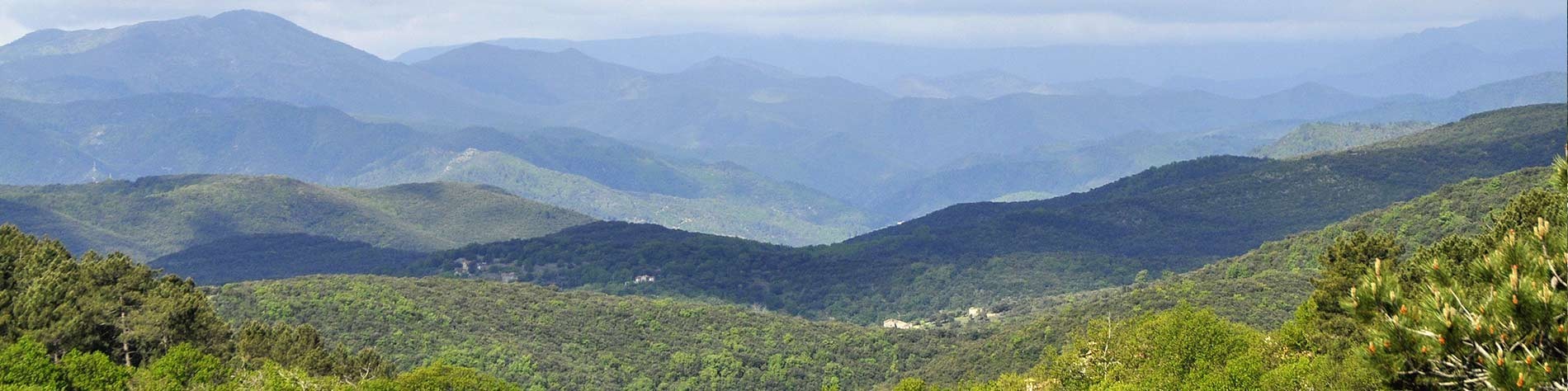 stevenson-trail-way-self-guided-hiking-tour