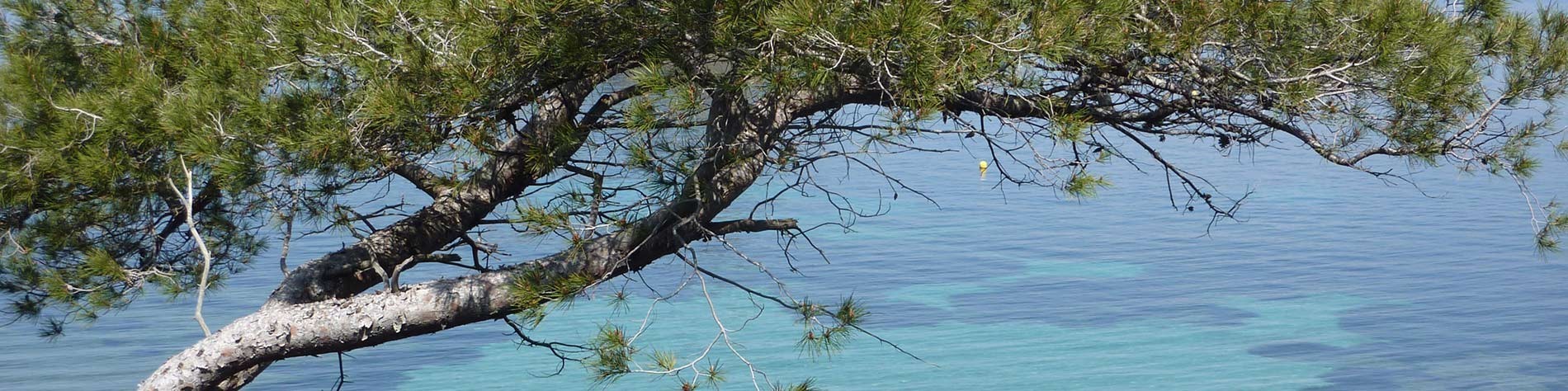 Randonnée pédestre en  Méditerranée et en Corse - Calanques