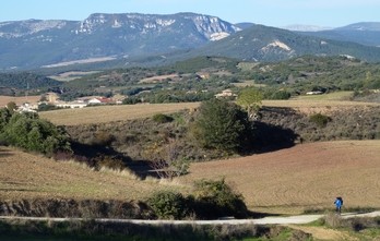 Camino Frances