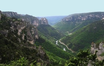 CEVENNES - TARN